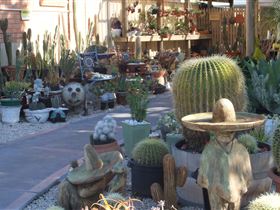 Cactus Creations - Tourism Brisbane 0
