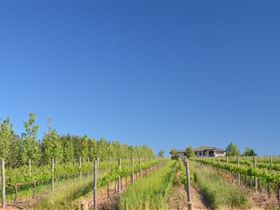 McLaren Vale III Associates - Tourism Brisbane 3