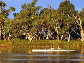 Martin Bend Reserve - Brisbane Tourism 0