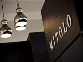 Mitolo Wines - Tourism Brisbane 1