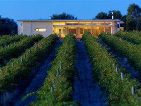 Mitolo Wines - Tourism Brisbane 3