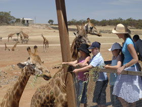 Monarto South SA Tourism Brisbane