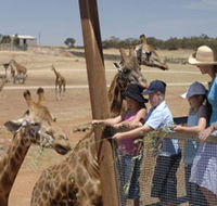 Monarto Open Range Zoo - Tourism Brisbane