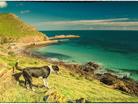 Second Valley Beach - Tourism Brisbane 1