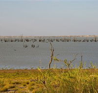Lake Victoria - Brisbane 4u