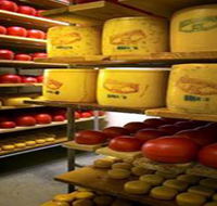 Alexandrina Cheese Company - Tourism Brisbane
