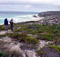 Murray Lagoon - Cape Gantheaume Conservation Park - Tourism Brisbane