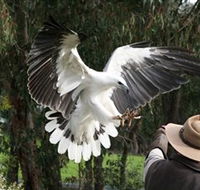 Raptor Domain - Tourism Brisbane