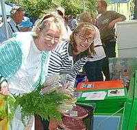 Victor Harbor Farmers Market - Tourism Brisbane