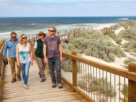 Seal Bay Conservation Park - Tourism Brisbane 3