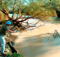 Charleville - Ward River Fishing Spot - Brisbane 4u