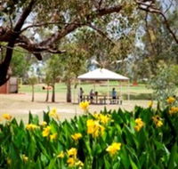Charleville - Graham Andrews Parklands - Brisbane 4u