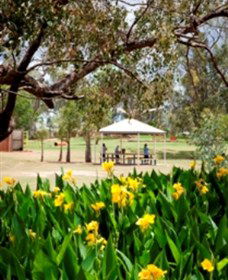 Charleville - Graham Andrews Parklands - Tourism Brisbane 0