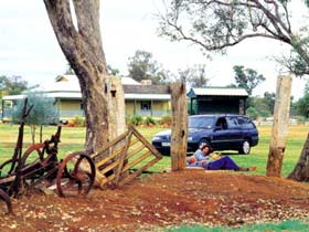 Charleville - Graham Andrews Parklands - Tourism Brisbane 3