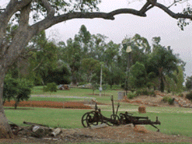 Charleville - Graham Andrews Parklands - Tourism Brisbane 2