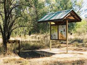  Tourism Brisbane