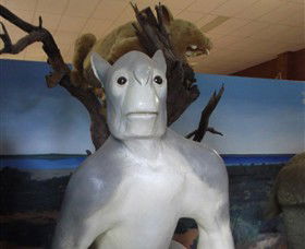 Wentworth Pioneer Museum - Tourism Brisbane 4