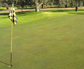 Wentworth Sporting Complex - Tourism Brisbane 0