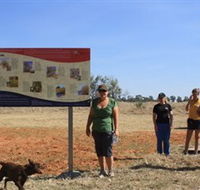 Coolibah Walk - Tourism Brisbane