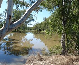 Red Bank Park - Tourism Brisbane 0