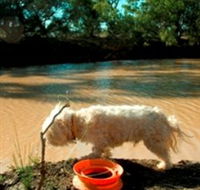 Charleville - 27 Mile Warrego River Fishing Spot - Tourism Brisbane
