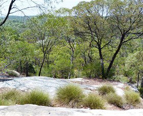 White Mountains National Park - Tourism Brisbane 0