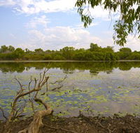 Yurmikmik Walks - Tourism Brisbane