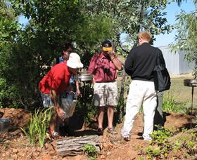 Mount Surprise Gems - Brisbane Tourism 2