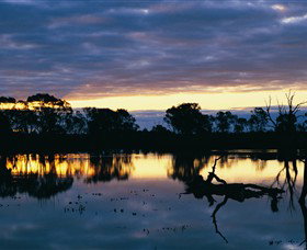Linga ACT Tourism Brisbane