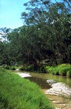 Salvator Rosa Section - Carnarvon National Park - Tourism Brisbane 0