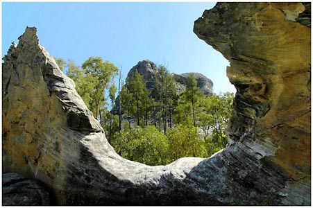 Salvator Rosa Section - Carnarvon National Park - Tourism Brisbane 1