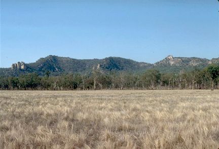 Salvator Rosa Section - Carnarvon National Park - Tourism Brisbane 3