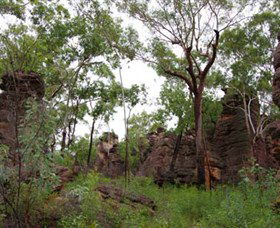 Barrk Sandstone Walk - Tourism Brisbane 1