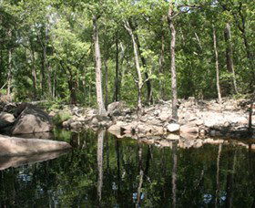 Gubara - Tourism Brisbane 0