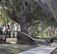 Wallam Creek Bollon - Tourism Brisbane