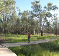 Ben Scott Memorial Bird Trail - Tourism Brisbane