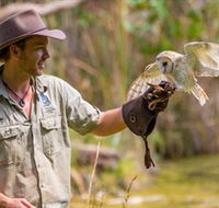 Territory Wildlife Park - Tourism Brisbane