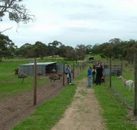 Avenue Emus - Tourism Brisbane