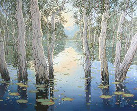 Framed Art Gallery - Tourism Brisbane 3