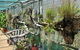 George Brown Darwin Botanic Gardens - thumb 5