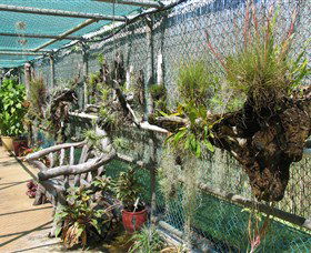 George Brown Darwin Botanic Gardens - Tourism Brisbane 5