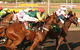 Darwin Turf Club - thumb 1