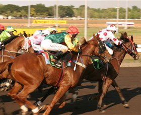 Darwin Turf Club - Tourism Brisbane 1