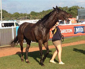 Darwin Turf Club - Tourism Brisbane 2