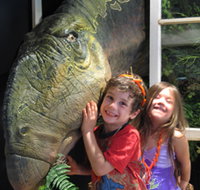 Australian Opal Centre - Tourism Brisbane