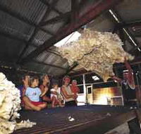 Shear Outback the Australian Shearers Hall of Fame - Brisbane Tourism