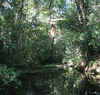 Misty Mountains Wilderness Walking Tracks - Tourism Brisbane