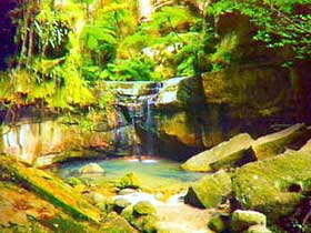 Carnarvon Gorge, Carnarvon National Park - Tourism Brisbane 0