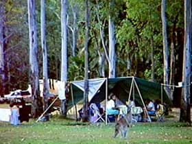 Carnarvon Gorge, Carnarvon National Park - Tourism Brisbane 2