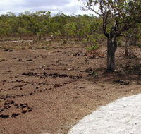 Wurrwurrwuy Garanhan Macassan Beach Interpretive Walk - Brisbane Tourism